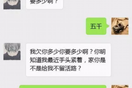 新洲专业催债公司的市场需求和前景分析