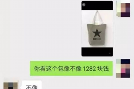 新洲新洲专业催债公司的催债流程和方法